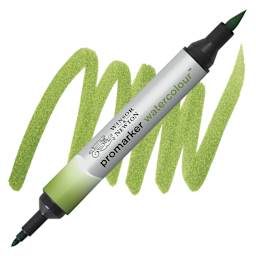 Winsor & Newton Promarker Watercolor Marker - Sap Green marker and swatch