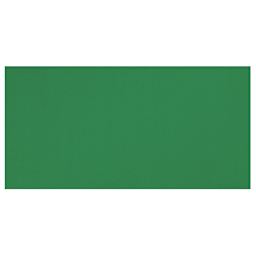 Richeson Casein Paint The Shiva Series - Permanent Green Light swatch