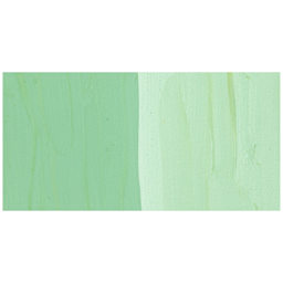 Nicker Designers Color Gouache - Wakatake swatch