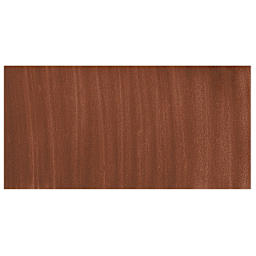 Testors Enamel Paint - Rust swatch