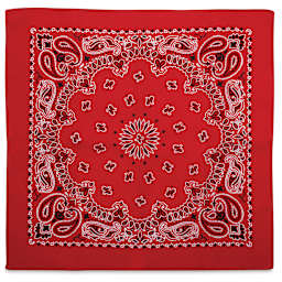 Carolina Paisley Bandana - Red