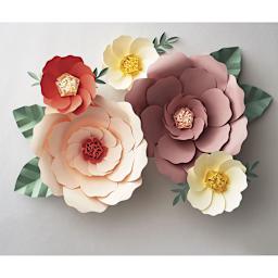 Paper Source Big Bloom Kit - Multicolor Big Bloom