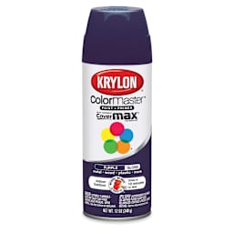 SPRAY PNT SATIN IVORY (6)
