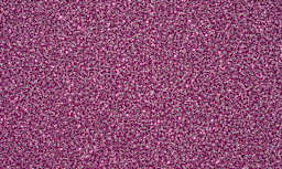 Krylon Glitter Blast Spray Paint - Fierce Fuchsia swatch