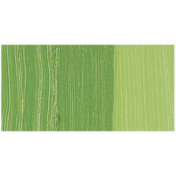 Williamsburg Handmade Oil Paint - Cadmium Green swatch