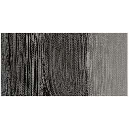 Williamsburg Handmade Oil Paint - Italian Black Roman Earth swatch