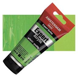 Amsterdam Expert Series Acrylic - Permanent Green Light, 75 ml tube and swatch