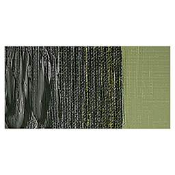 Old Holland New Masters Classic Acrylic Paint - Sap Green Extra swatch