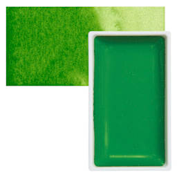 Kuretake Gansai Tambi Watercolor Pan - Sap Green Light pan and swatch