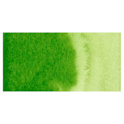 Kuretake Gansai Tambi Watercolor Pan - Sap Green Light swatch