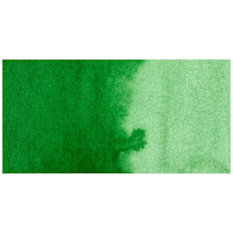 Kuretake Gansai Tambi Watercolor Pan - Hooker's Green swatch