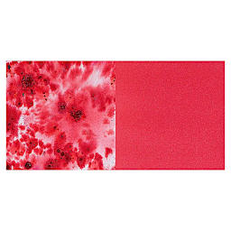 Brusho Crystal Colour  - Brilliant Red swatch