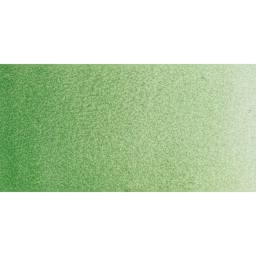 Rembrandt Watercolor Half Pan - Chromium Oxide Green swatch