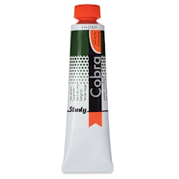 Royal Talens Cobra Study Water Mixable Oil Colors - Sap Green, 40 ml tube