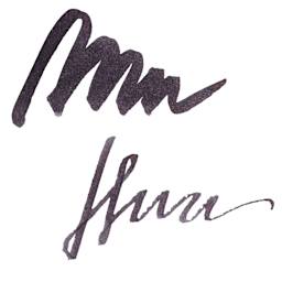Ferris Wheel Press Fountain Pen Ink - Bearrington Black, 38 ml, swatch
