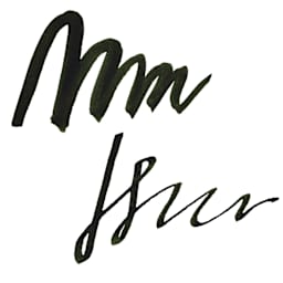 Noodler's Ink Fountain Pen Ink - Zhivago, swatch