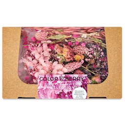 Colorberry Dried Flower Collection Resin Additives - Rose and Pink, 50 g