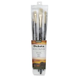 Princeton Series 6300 Dakota Synthetic Bristle Brush - Set of 4 (Outside of Packaging)