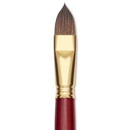 Blick Master Synthetic Kolinsky Brush - Short Handle, Filbert, Size 18, close-up