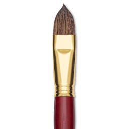 Blick Master Synthetic Kolinsky Brush - Short Handle, Filbert, Size 20, close-up