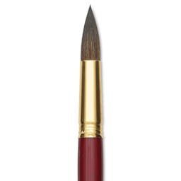 Blick Master Synthetic Kolinsky Brush - Long Handle, Round, Size 20, close-up