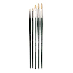 Winsor & Newton Winton Hog Bristle Brushes - Assorted, Pkg of 5