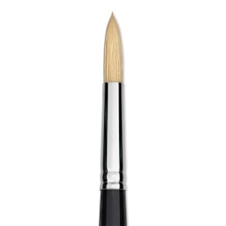 Trekell Hog Bristle Brush - Round, Long Handle, Size 8, close up
