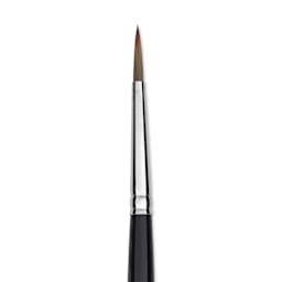 Trekell Spectrum Brush - Round, Long Handle, Size 8, close up