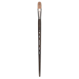 Princeton Pro Series 6000 Brush - Filbert, Long Handle, Size 8