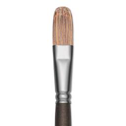 Princeton Pro Series 6000 Brush - Filbert, Long Handle, Size 8, close up