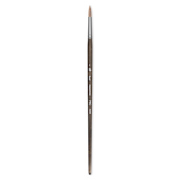 Princeton Pro Series 6000 Brush - Round, Long Handle, Size 4