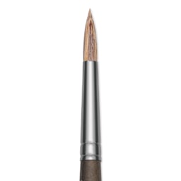 Princeton Pro Series 6000 Brush - Round, Long Handle, Size 4, close up