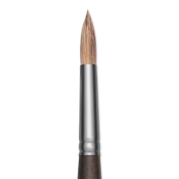 Princeton Pro Series 6000 Brush - Round, Long Handle, Size 6, close up