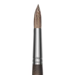 Princeton Pro Series 6000 Brush - Round, Long Handle, Size 8, close up