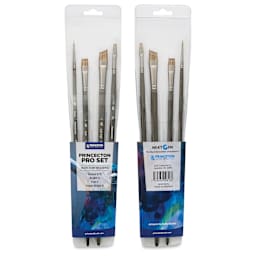 Princeton Pro Series 6000 Brushes - Blick Exclusive! Set of 4, front and back of packaging