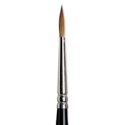 Winsor & Newton Series 7 Kolinsky Sable Brush - Pointed Round, Size 2 close-up