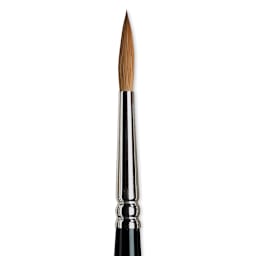 Winsor & Newton Series 7 Kolinsky Sable Brush - Pointed Round, Size 5 close-up