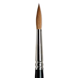 Winsor & Newton Series 7 Kolinsky Sable Brush - Pointed Round, Size 6 close-up