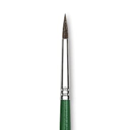 Blick Economy Pony Hair Brush - Round, Short Handle, Size 2 close-up