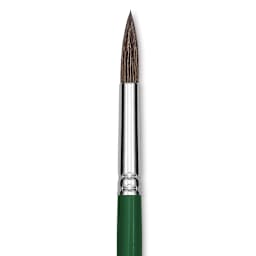 Blick Economy Pony Hair Brush - Round, Short Handle, Size 12 close-up