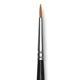Blick Pointed Scholastic Brush - Round, Short Handle, Size 1 close-up