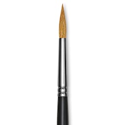Blick Pointed Scholastic Brush - Round, Short Handle, Size 8 close-up