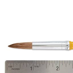 Crayola Camel Hair Watercolor Brush - Round, Size 10 close-up