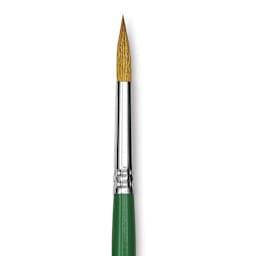 Blick Economy Sable Brush - Round, Size 6 close-up