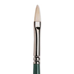 Winsor & Newton Winton Hog Bristle Brush - Filbert, Long Handle, Size 1