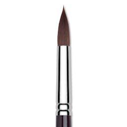 Winsor & Newton Galeria Brush - Round, Long Handle , Size 12