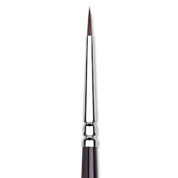 Winsor & Newton Galeria Brush - Round, Short Handle , Size 1 close up