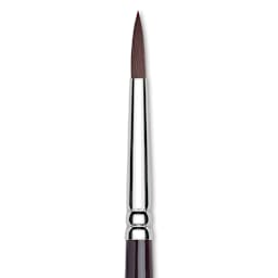 Winsor & Newton Galeria Brush - Round, Short Handle , Size 5