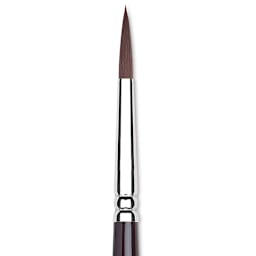 Winsor & Newton Galeria Brush - Round, Size 6, Short Handle (close-up to show brush head)