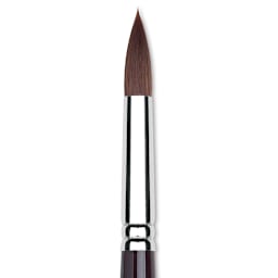 Winsor & Newton Galeria Brush - Round, Short Handle , Size 12 close up